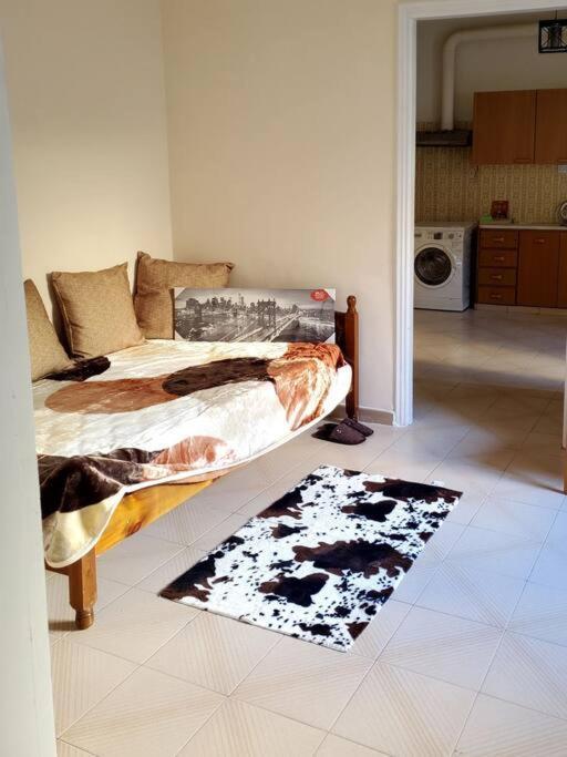 Home Away From Home_3Br At Maniatika_14Min Walk To The Port Piraeus Ngoại thất bức ảnh